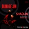 Shaolin (Matan Caspi Remix) - Darko De Jan lyrics