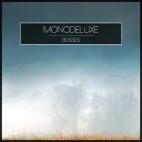 Will Find You — MONODELUXE