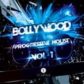 Teri Meri Kahaani (Progressive House Remix) artwork