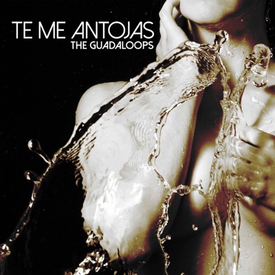 Te Me Antojas - Single