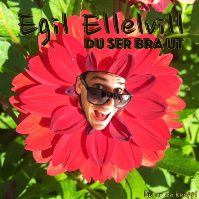 Du ser bra ut - Single