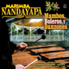 Bésame Mucho / Amor Amor Amor / - Marimba Nandayapa