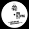 Next (Frits Wentink Remix) - Ian Blevins lyrics