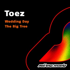 Wedding Day / The Big Tree - Single