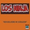 La Tortuguita - Los Ninja lyrics