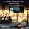 Uncle Pat's Imaginary Blues Band (Terlingua Bootleg)