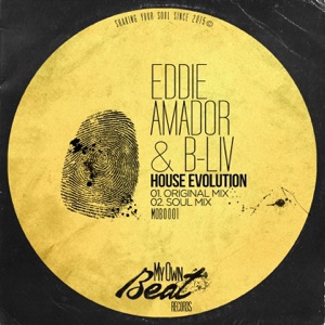 House Evolution - Single