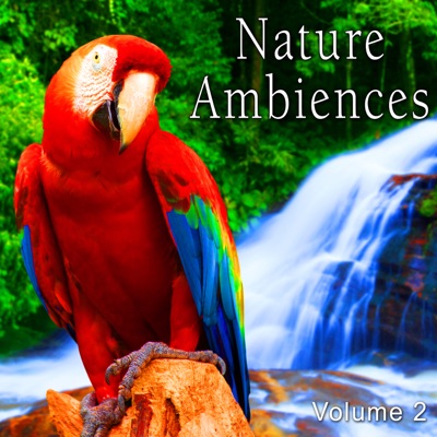 Jungle Ambience with Medium Perspective Bird Chirps, Distant Insects and Light Wind-thumbnail