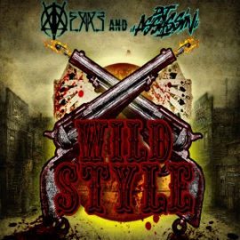 Wild Style Erre & DjAssassin