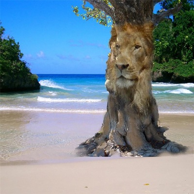 Caribbean Love (feat. Hezron & Gina Rene) - Single