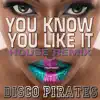 Disco Pirates - You Know You Like It (House Remix)