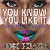You Know You Like It (House Remix) — Disco Pirates