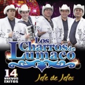 Camino de la Montaña / El Tucanazo / La Chona artwork