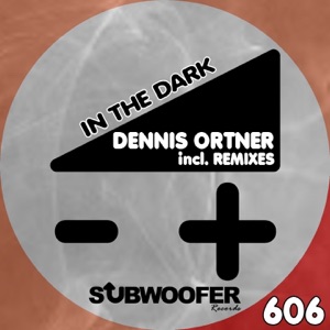 In the Dark (Remixes) - Single