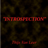 Introspection - Thijs Van Leer