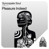 Pleasure Indeed - Single