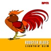 Lightnin' Slim - Tom Cat Blues