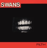 Swans - Sensitive Skin