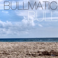 BULLMATIC - BULL