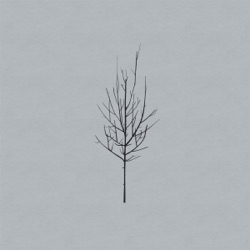 Low - Congregation