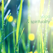 Yoga & Spirituality - Mindfulness Music for Buddhist Meditation and Transcendental Meditation, Spa, Relaxation and Healing Music Therapy - Verschillende artiesten