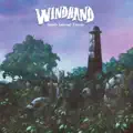 Forest Clouds