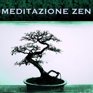 Meditazione Zen - Musica per Meditare Profondamente in Pace con il Mondo