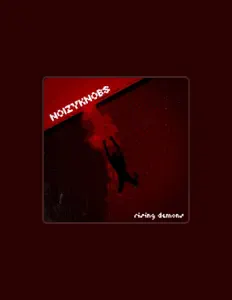 收听 NoizyKnobs、观看音乐视频、阅读小传、查看巡演日期等 ！