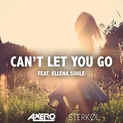 Can't Let You Go (ft. Ellena Soule) - Single