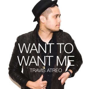 Want to Want Me - Single