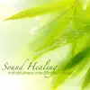 Relaxing Mindfulness Meditation Relaxation Maestro - Namaste