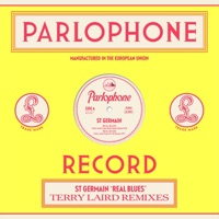 Real Blues (Terry Laird Come Back Home Mix) [wKo]