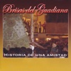 Brisas del Guadiana - Pa Qué Vienes