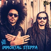 Sky Grass - Immortal Steppa