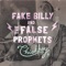 Jesus Was a Dancer - Fake Billy & the False Prophets lyrics