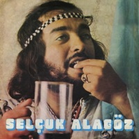 Selçuk Alagöz - Malabadi Köprüsü