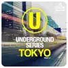 Frederic Pellichero & Chris Garcia - Sumerset (Canard Remix)