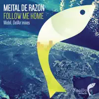 Follow Me Home (DelAir Dub Mix) — Meital De Razon