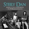Steely Dan - Rikki Don't Lose That Number (Live)