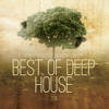 Best of Deep House 2015 - Various Artists new Single