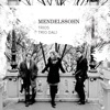 Trio Dali - Piano Trio No. 1 in D Minor, Op. 49: IV. Finale (Allegro assai appassionato)