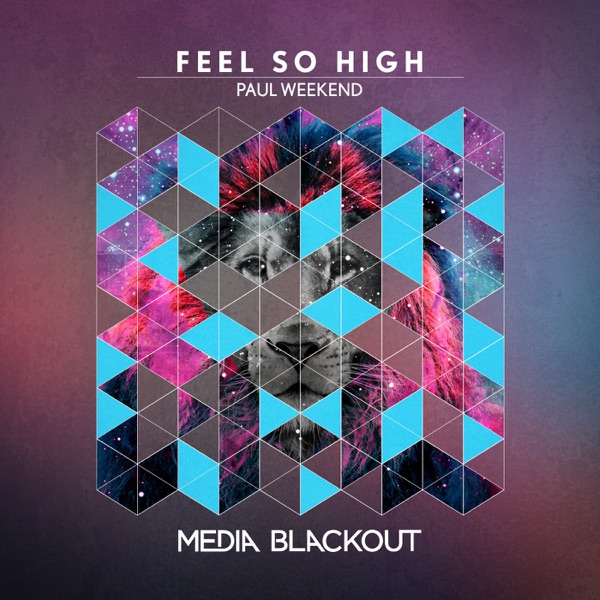 Feel So High - Single