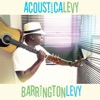 Icon Acousticalevy