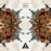Soul Remixes - LetKolben
