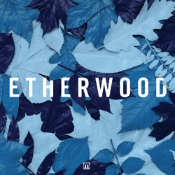 Etherwood - We're Nothing Without Love (feat. S.P.Y)