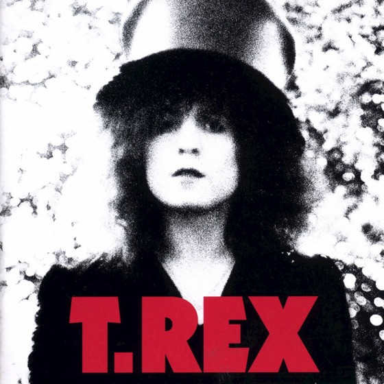 Cover artwork for Metal Guru