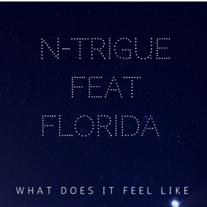 What Does It Feel Like (feat. Flo Rida) [Kriss Raize Extended Mix]