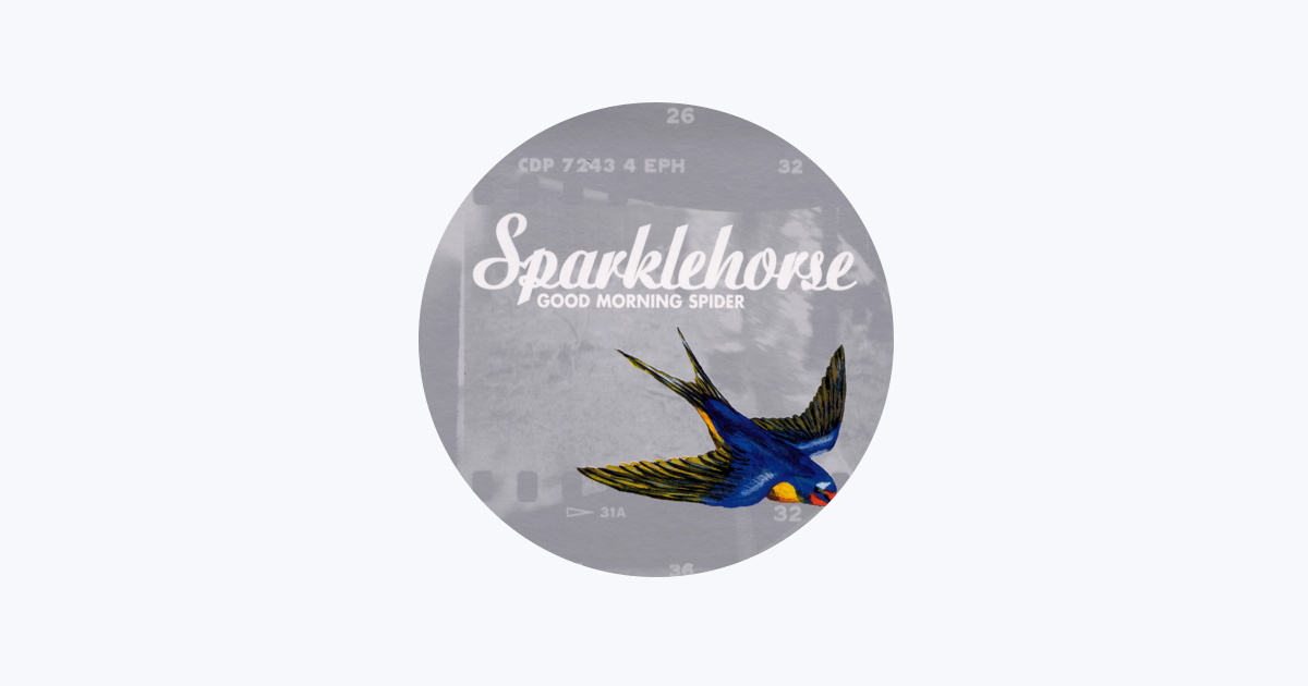 グッド・モーニング・スパイダー / スパークルホース Sparklehorse – Good Morning Spider – Vinyl (180 gram, LP
