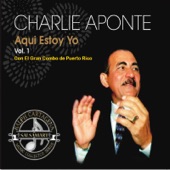Aguacero (feat. El Gran Combo de Puerto Rico) [Coros: Ray De La Paz, Charlie & Jerry] artwork