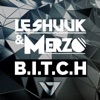 le Shuuk & Merzo